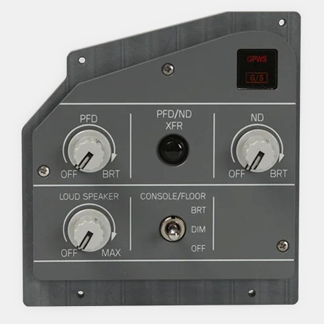 EFIS Panel CPT - VIER IM POTT