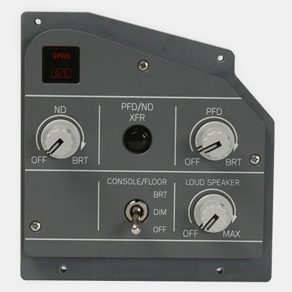 EFIS Panel FO - VIER IM POTT