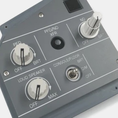 EFIS Panel Professional CPT - VIER IM POTT